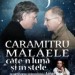 caramitru-malaele-cate-luna-stele